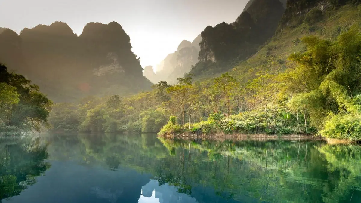 可靠性独特无人化